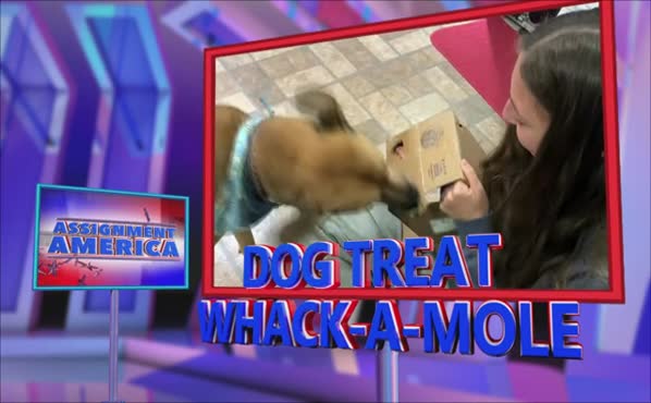 16+ Americas Funniest Home Videos Youtube Clean PNG