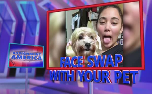 Assignment America: Pet Face Swap