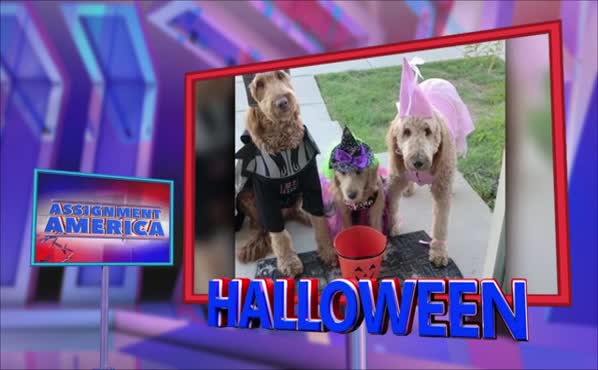 Assignment America: Halloween